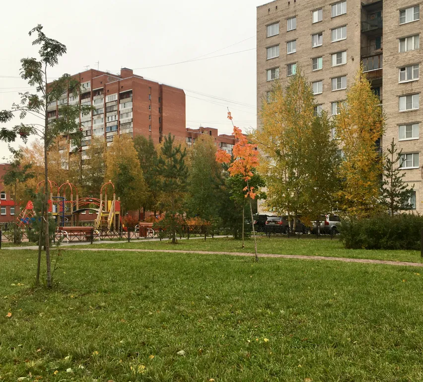 Квартира 2-комнатная Квартира — Колпино