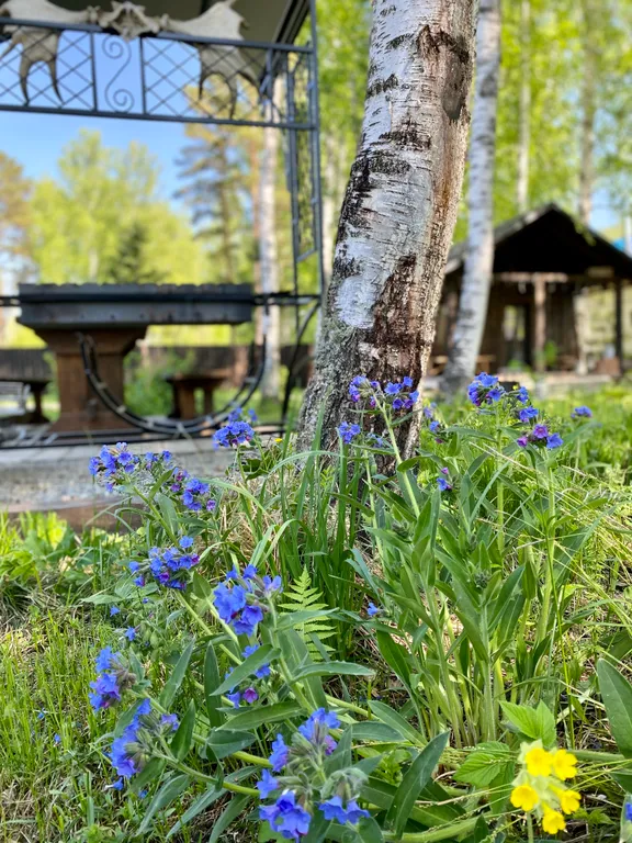 Дом-шале с печью-камином