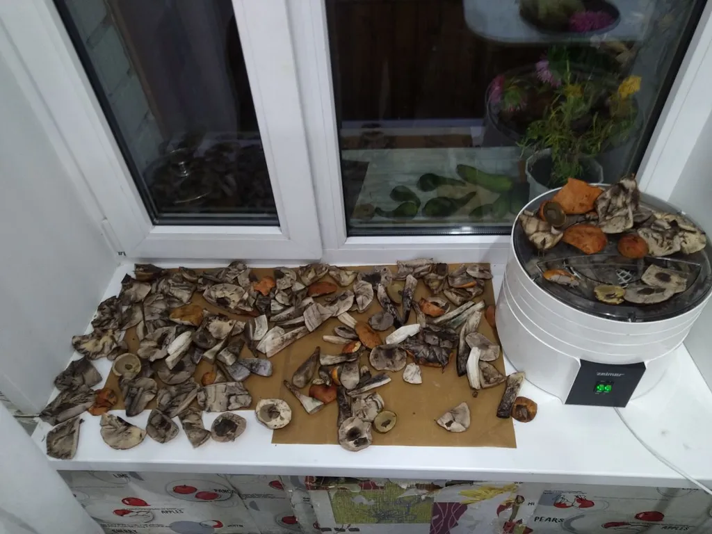 Дом у реки Сума