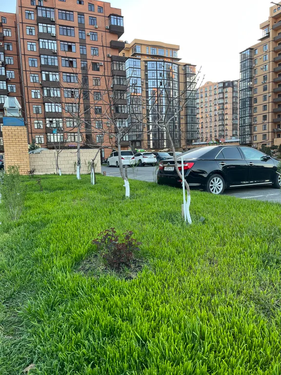 Уютная квартира у моря