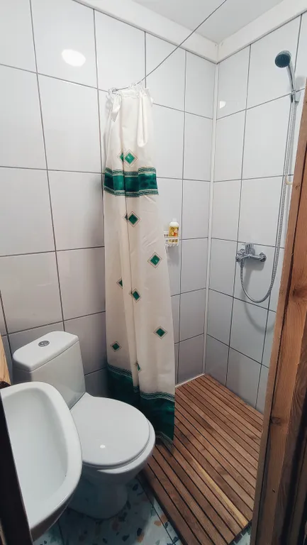 Дом на берегу реки со всеми удобствами