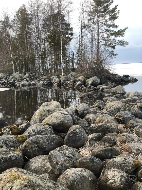 Сосновое шале на берегу Сямозера