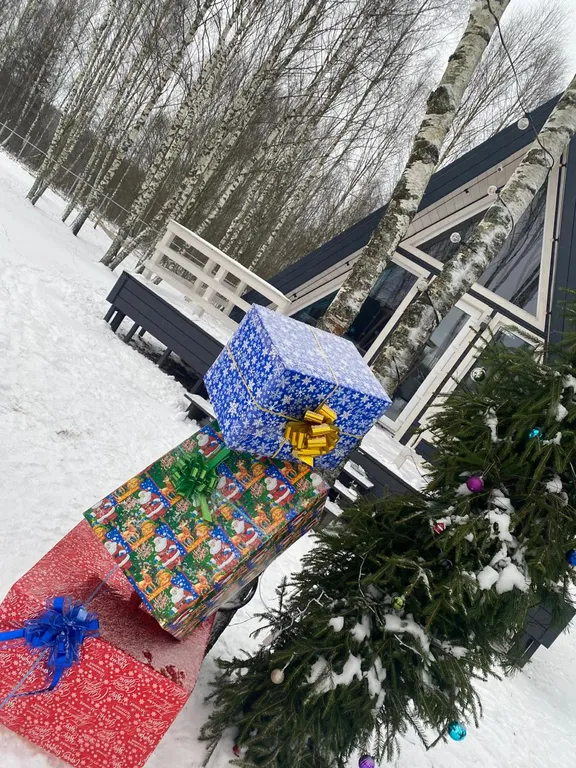 Коттедж Дом в стиле A-frame — аренда посуточно в Смоленск