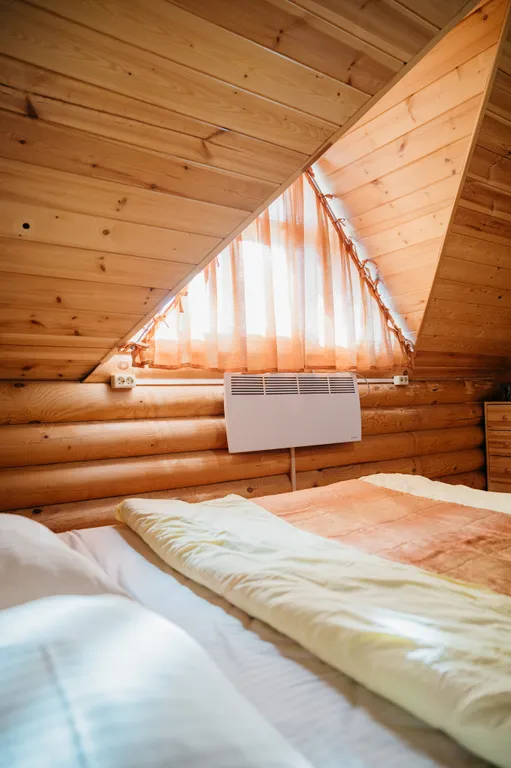 Семейный номер гостевого центра на берегу пруда (прокат снегохода)