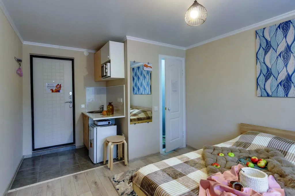 Студия с мини-кухней и собственным санузлом