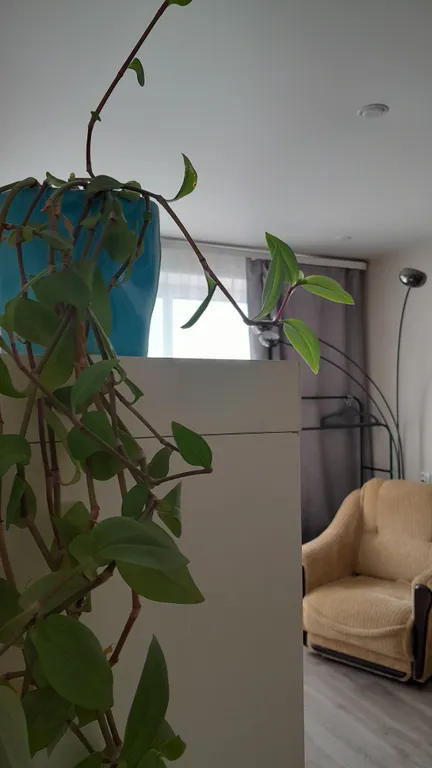 Карелия Сортавала 2 комнатная квартира, wi-fi, парковка, рядом кафе, озеро