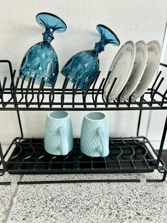 Квартира Кот учёный