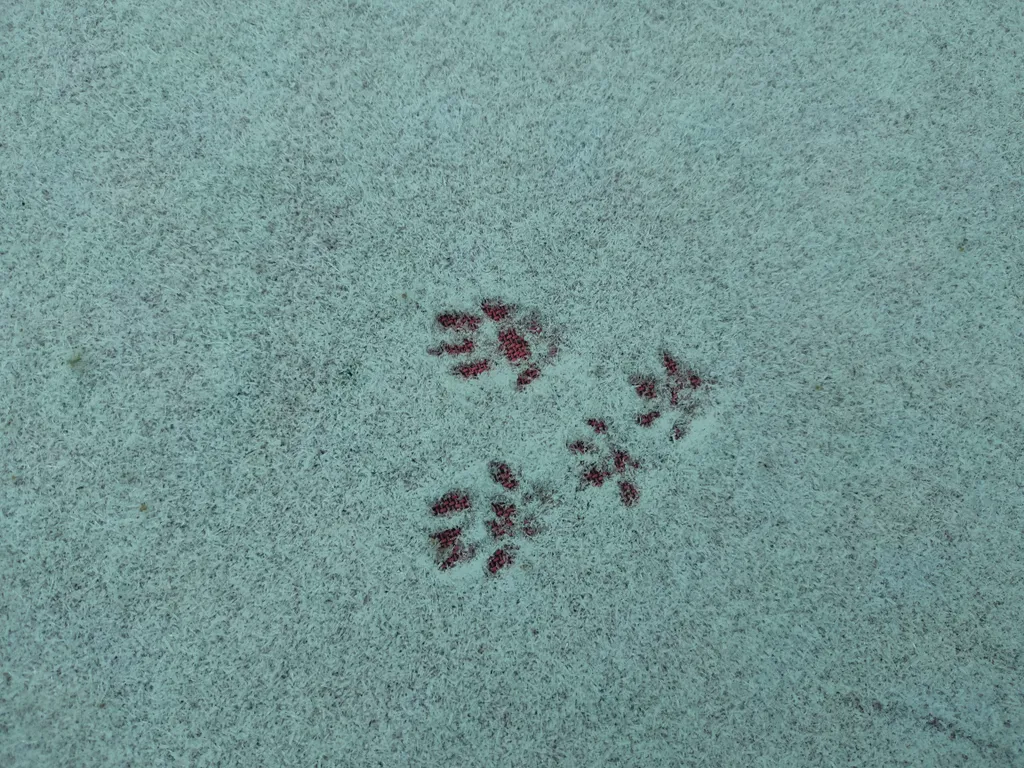 Дом на берегу озера без соседей