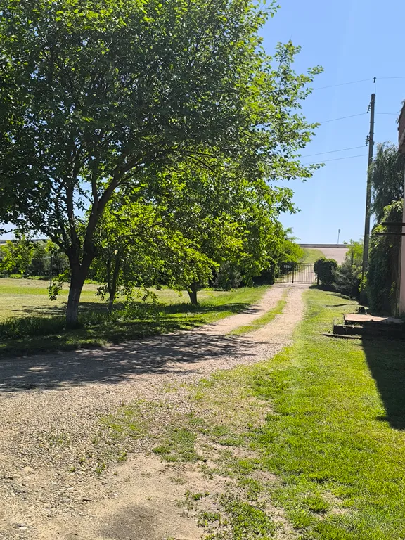 Дом у реки, банный чан, пирс, рыбалка, все для вашего отдыха