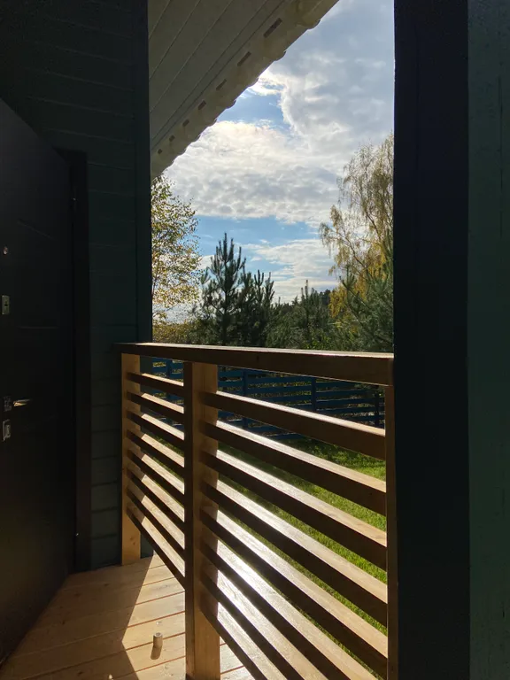 Дом в окружении леса