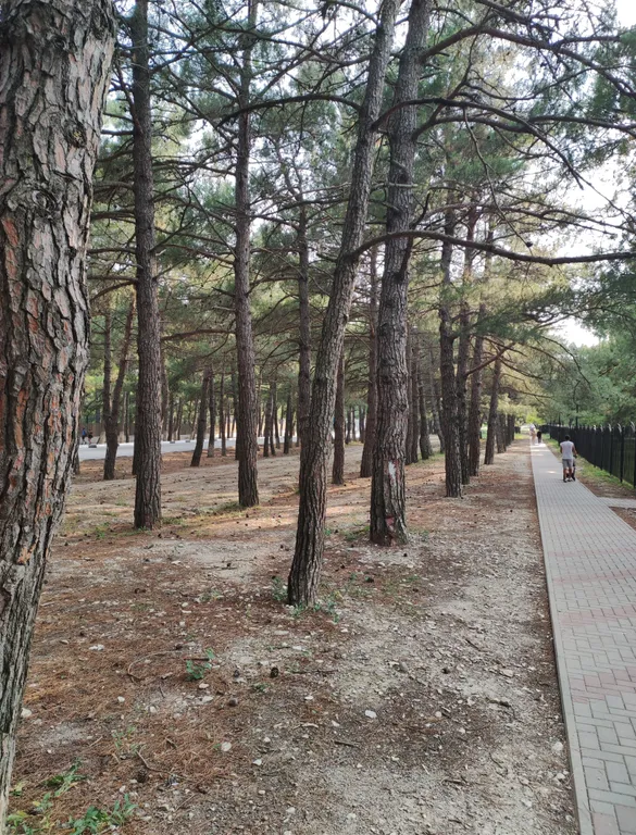 Квартира Квартира Твоё море №7 — Геленджик