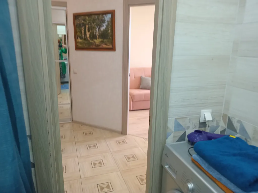 Уютная однокомнатная квартира напротив речки Великая