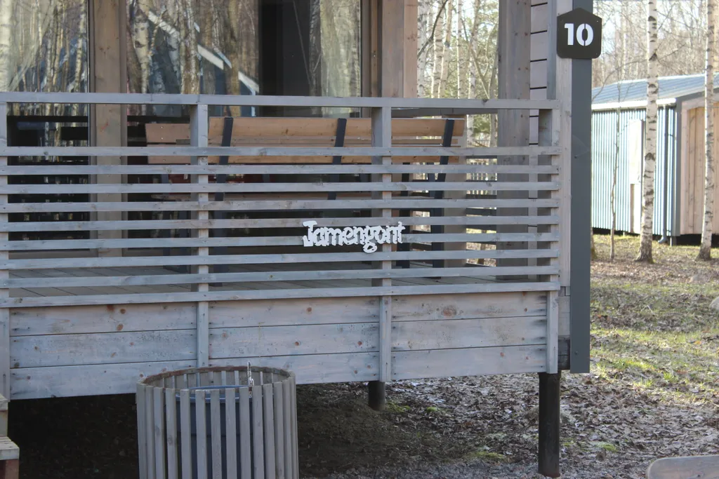 Дом в березовой роще