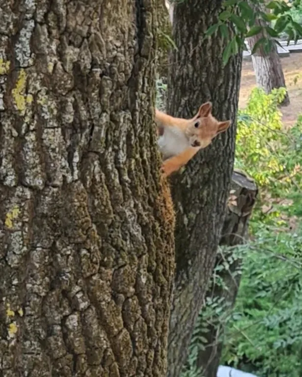 Уютная квартира рядом с морем
