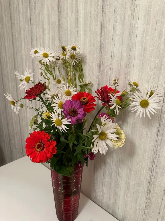 Комфортная квартира в Западном районе