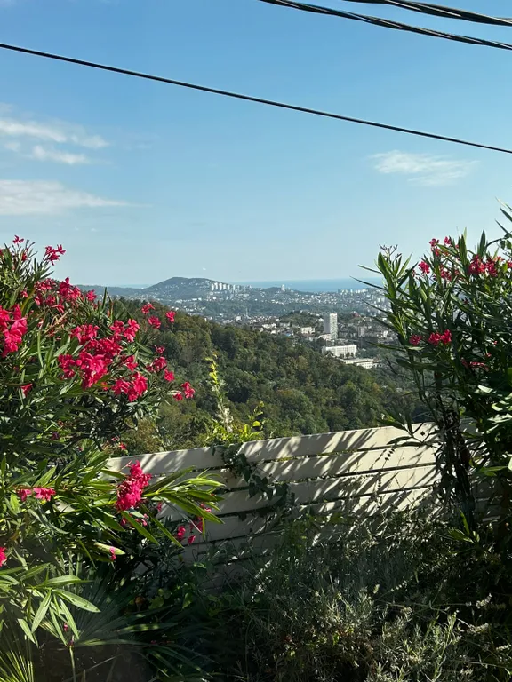 Домик с панорамным видом