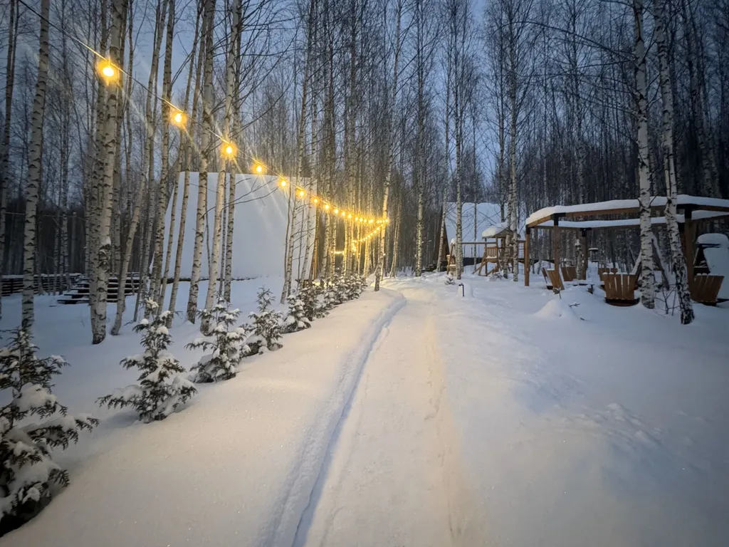 Коттедж Уютный А-фрейм домик с купелью в лесу — Соловеново