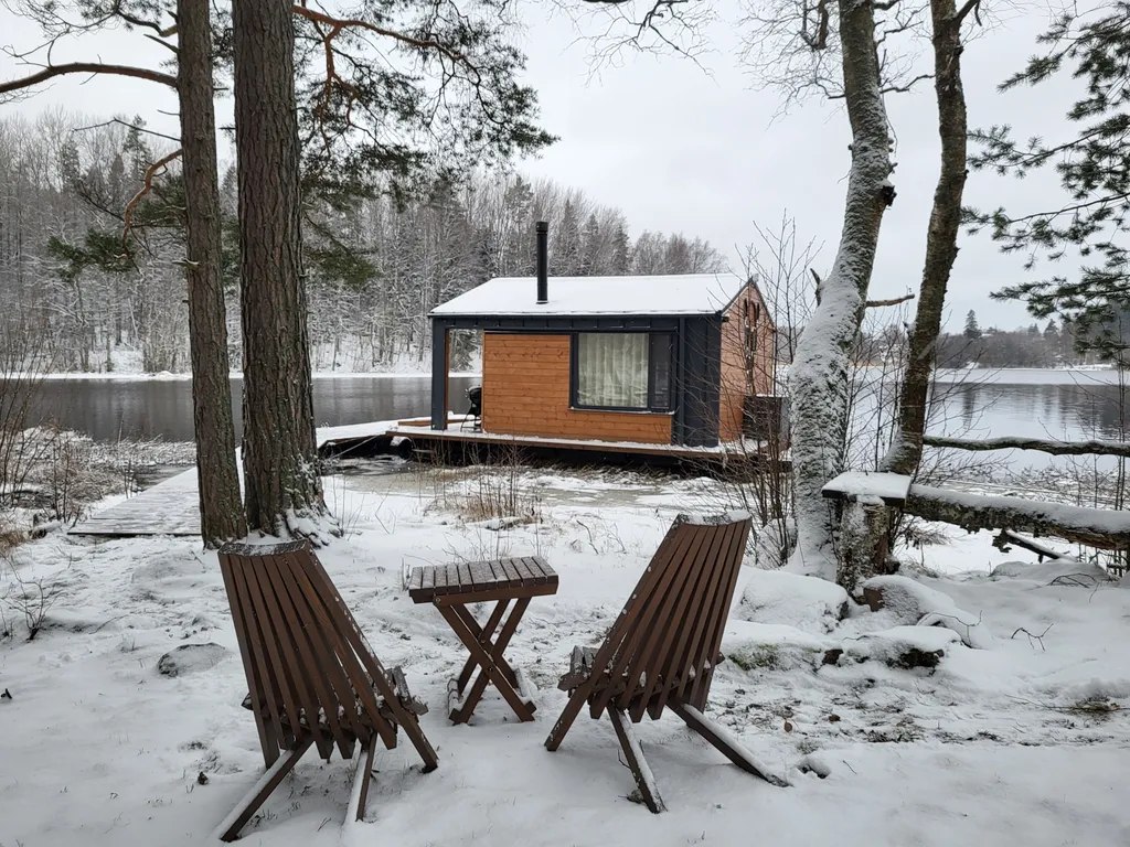 Дом на берегу реки, заснеженный лес, хаусбот