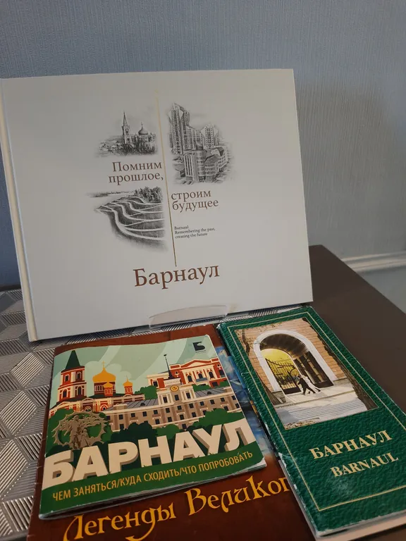 Рыжий Кот Дружный (просторная 2-ка с изолированной спальней)