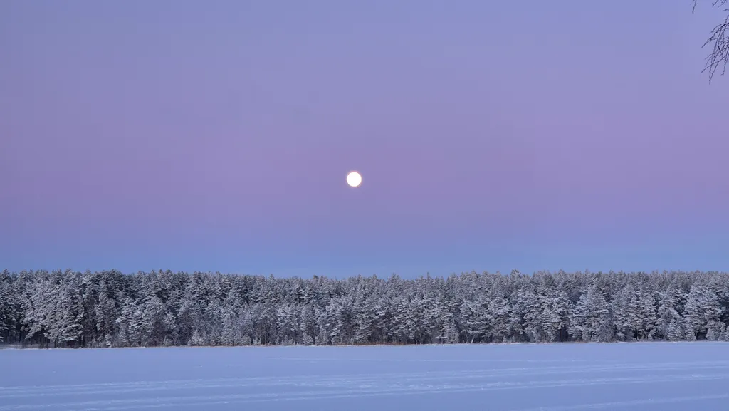 Коттедж Уютнейший дом с роскошным видом на озеро — Ларионово