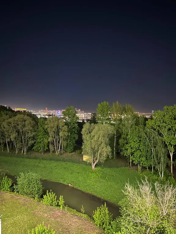 Уютная квартира с видом на Кремль