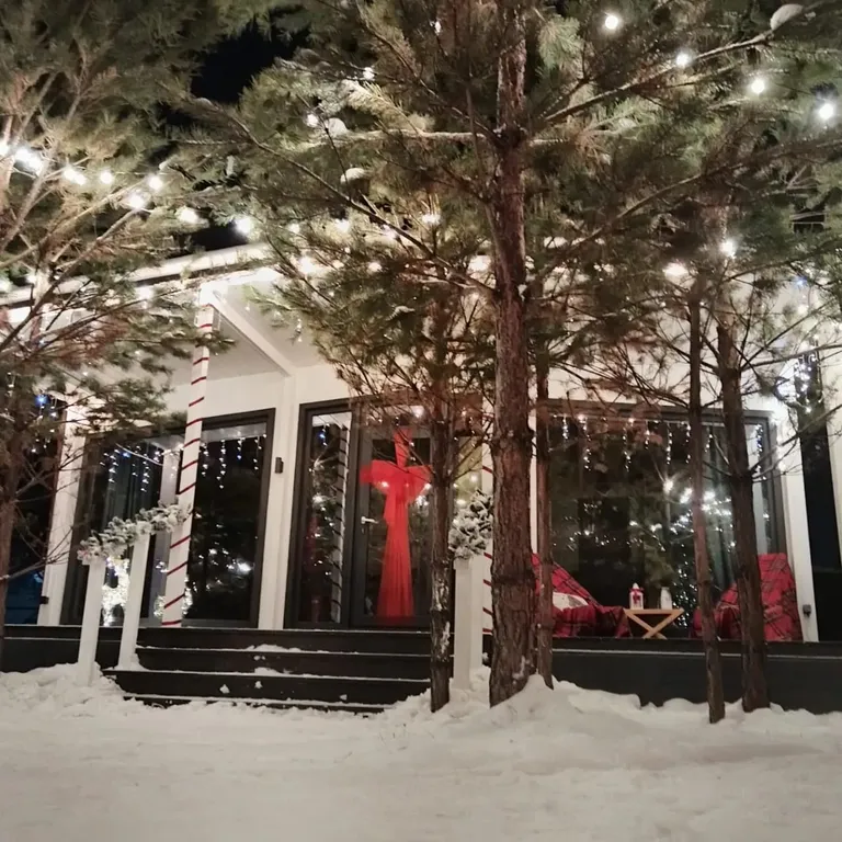 Домик, чан, баня в сосновом лесу, закрытая территория