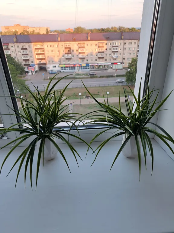 Уютная квартира в западном районе