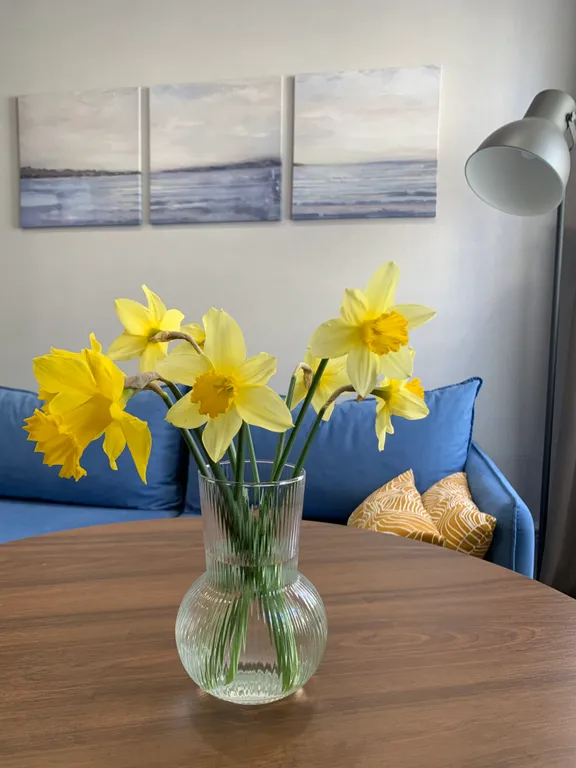 Новая студия Юниор с видом на Волгу в центре города