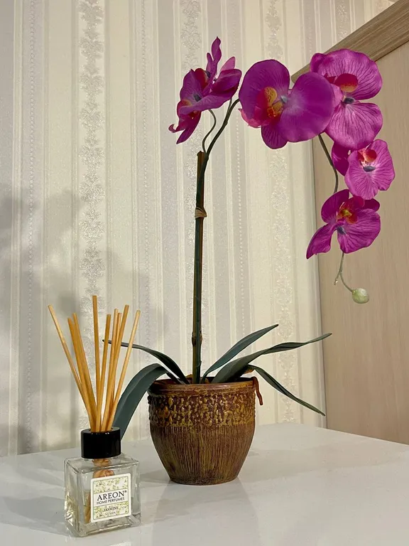 Уютная квартира с шикарным видом