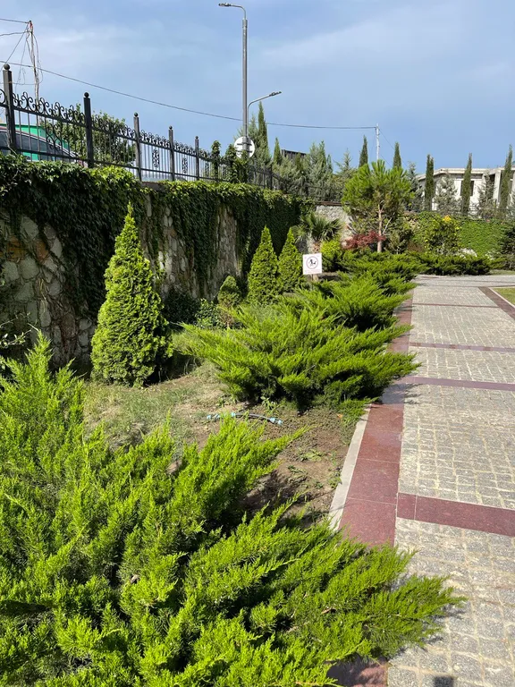 Уютная квартира с шикарным видом