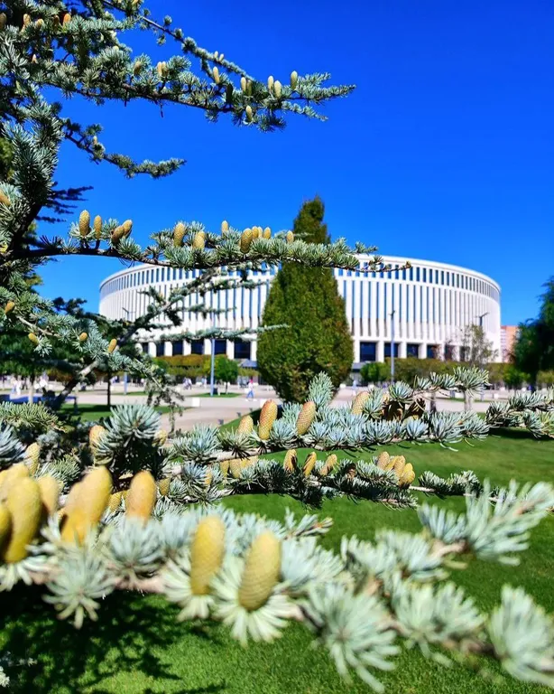 Дизайнерские апартаменты с видом на парк Краснодар