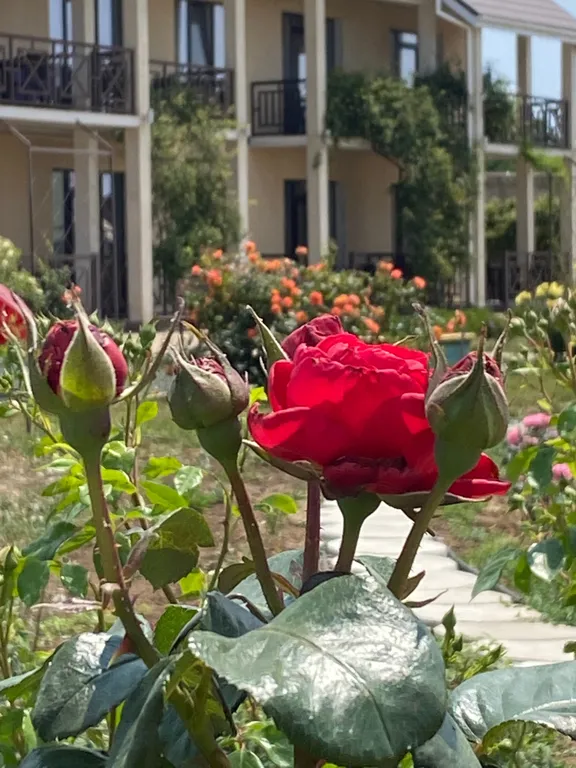 Квартира Комната — Витино