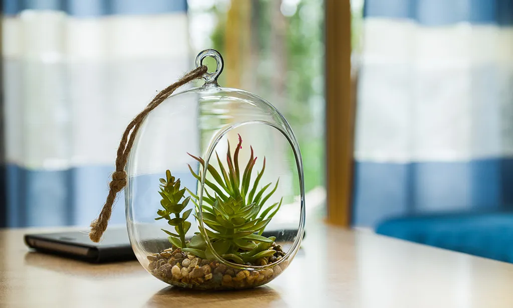 6-комнатный Дом