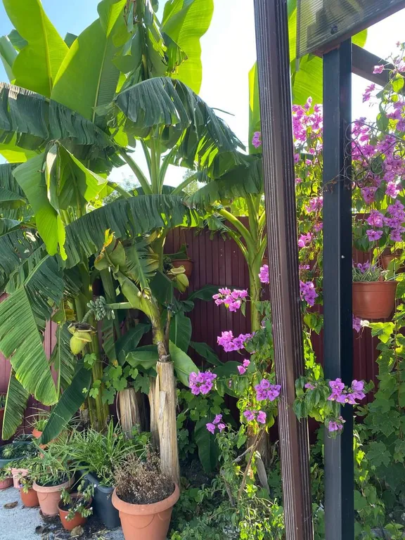 Коттедж Дом под ключ — Сириус