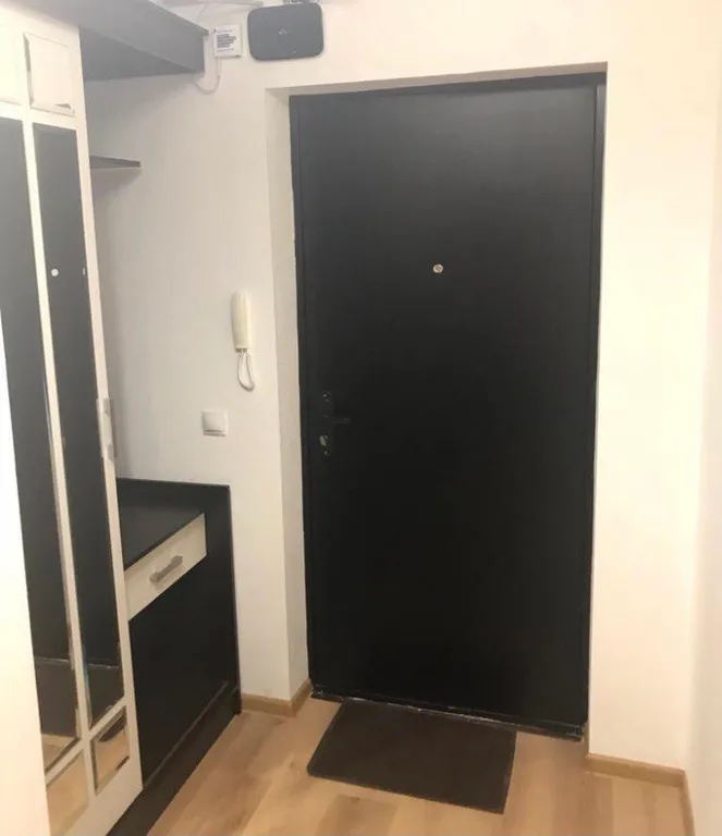 Квартира Квартира Рядом с НИИ Петрова/Гранова/Напалкова — Песочный