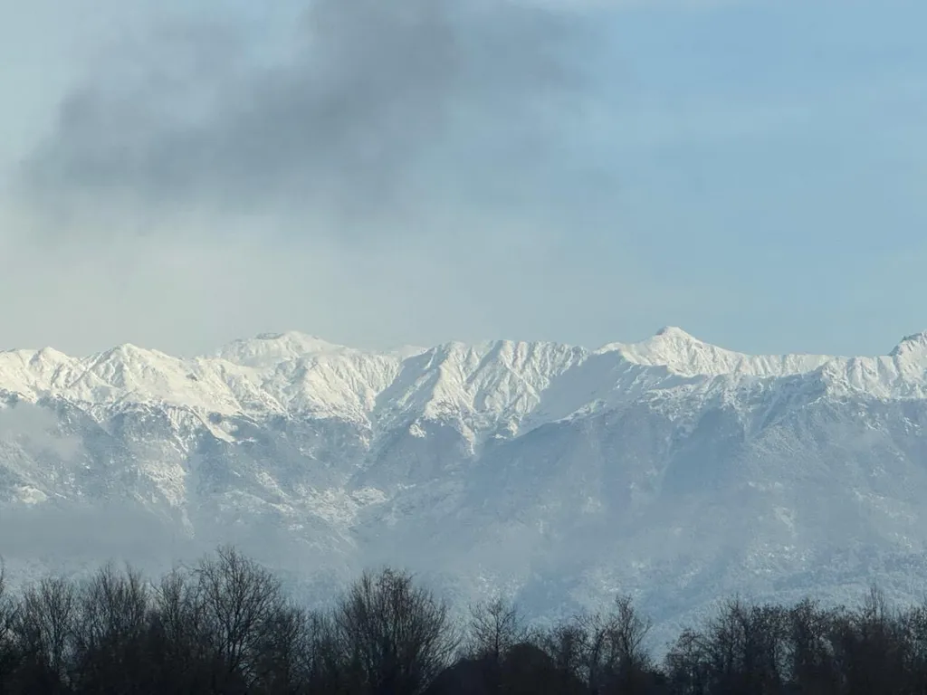 Уютная квартира в шаговой доступности от моря
