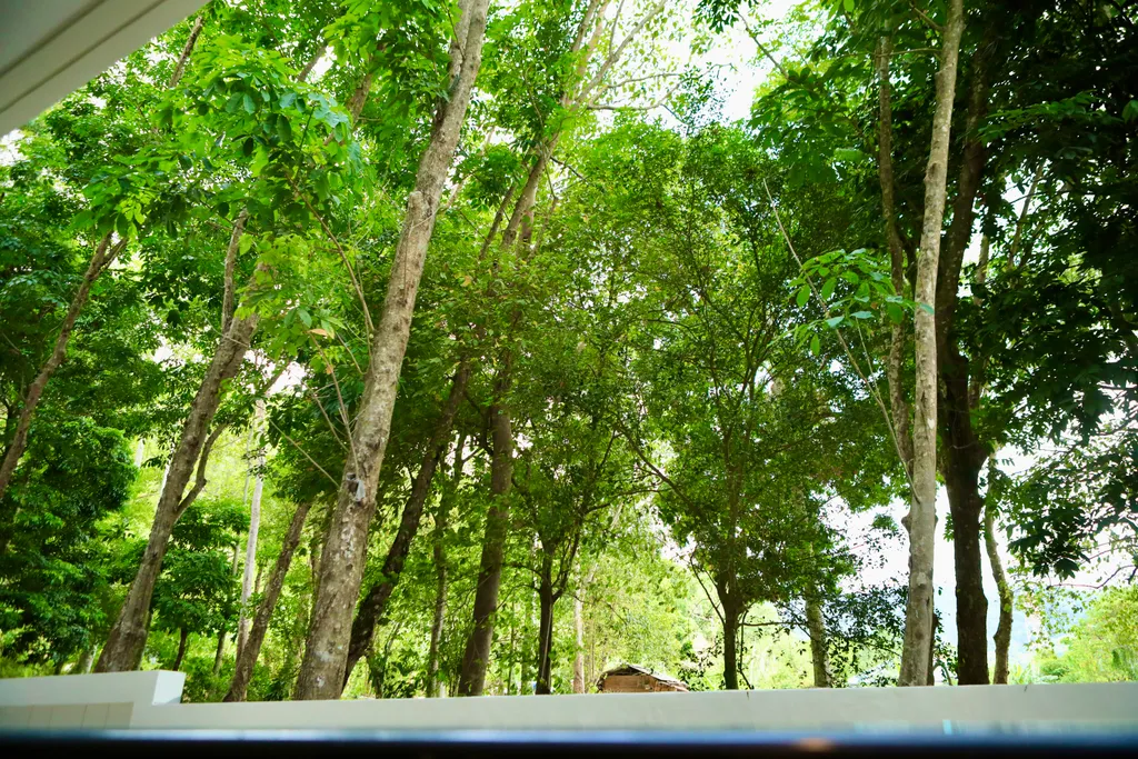 Релакс у моря с бассейном и спортзалом, рядом Камала пляж