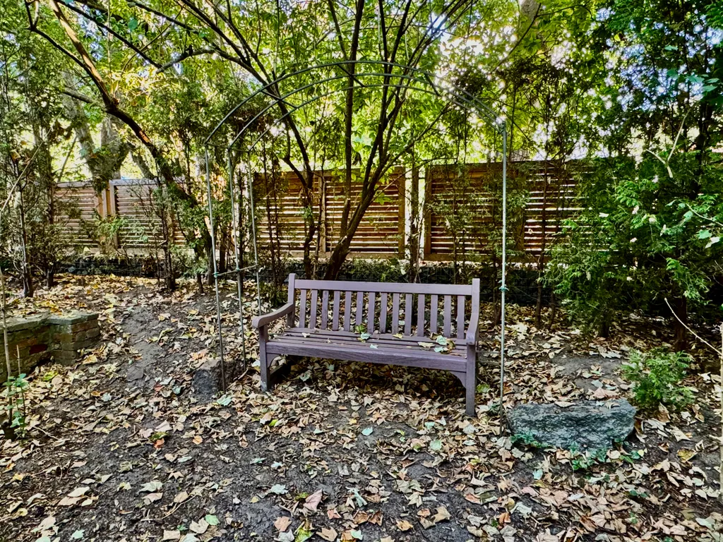 Мяу-квартира на Курортном проспекте