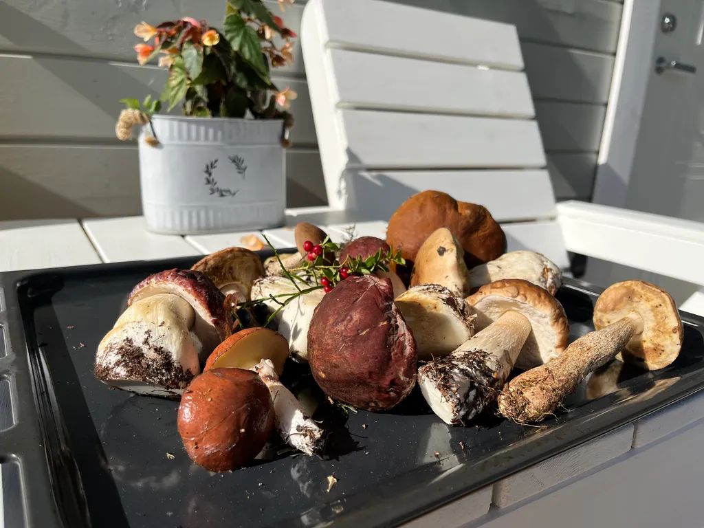 Домик в Карелии на берегу озера