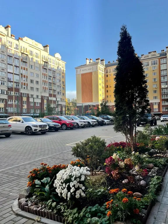 Квартира Уютная квартира у моря — Зеленоградск
