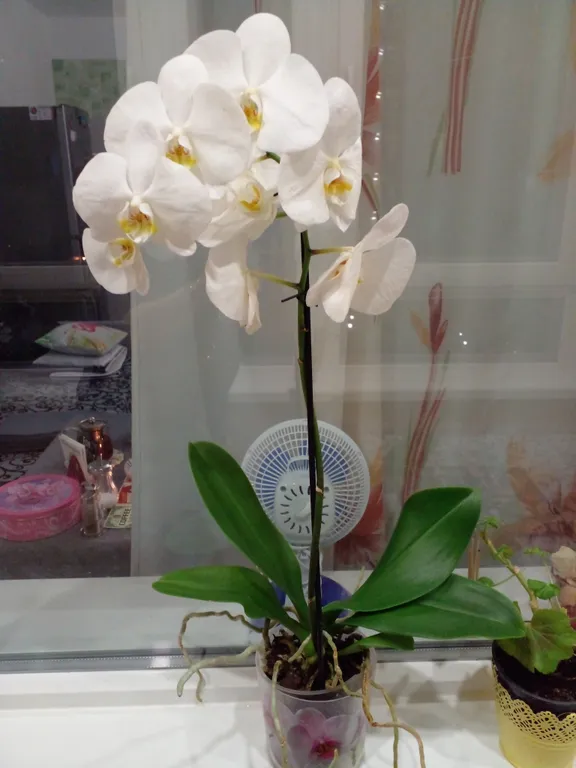 Уютная, теплая квартирка недалеко от метро и центра,рядом Автополе