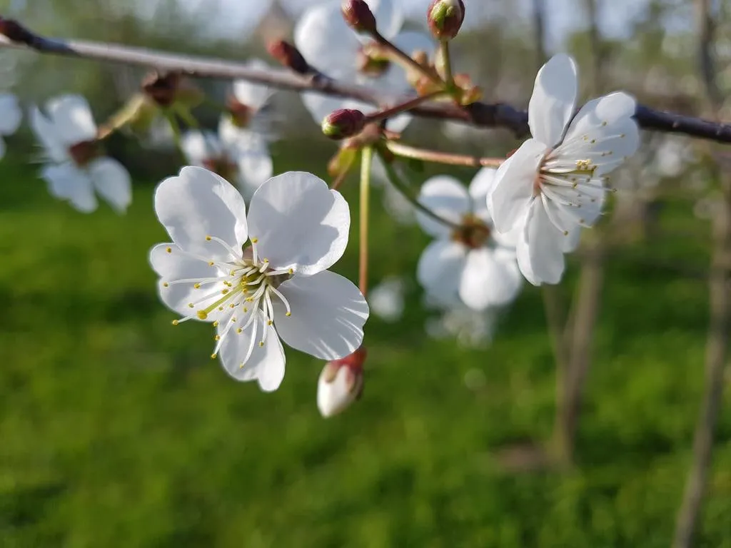 Дом, уютное место в центре города