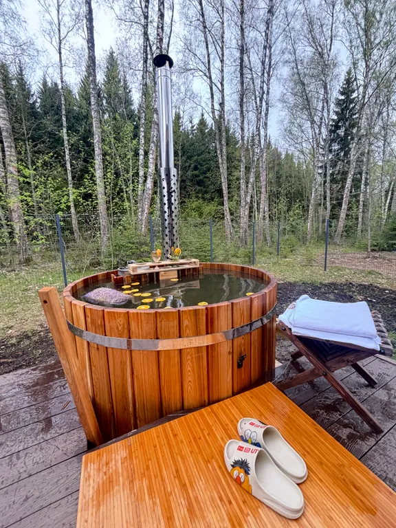 Загородный домик с камином и потрясающим видом на лес