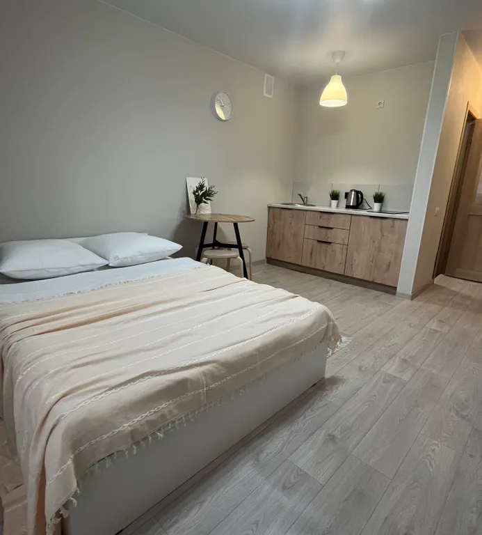 Студия в центре