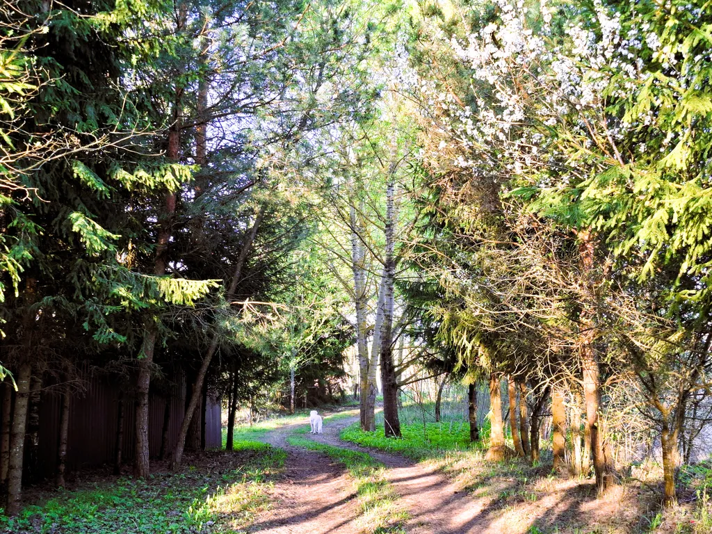 Коттедж с русской баней