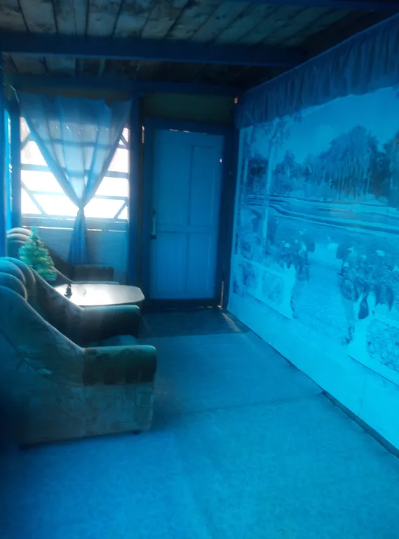 Уютный дом в таежном посёлке рядом с Телецким озером.