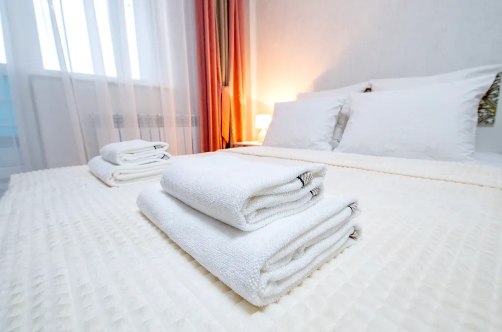 Прекрасная однушка в центре с дистанционным заездом