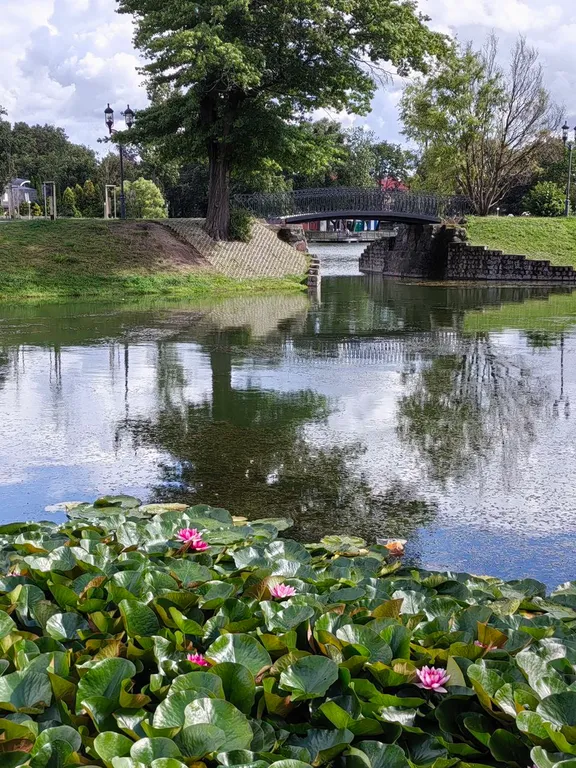 Квартира Уютная квартира с видом на парк, дистанционный заезд — Калининград