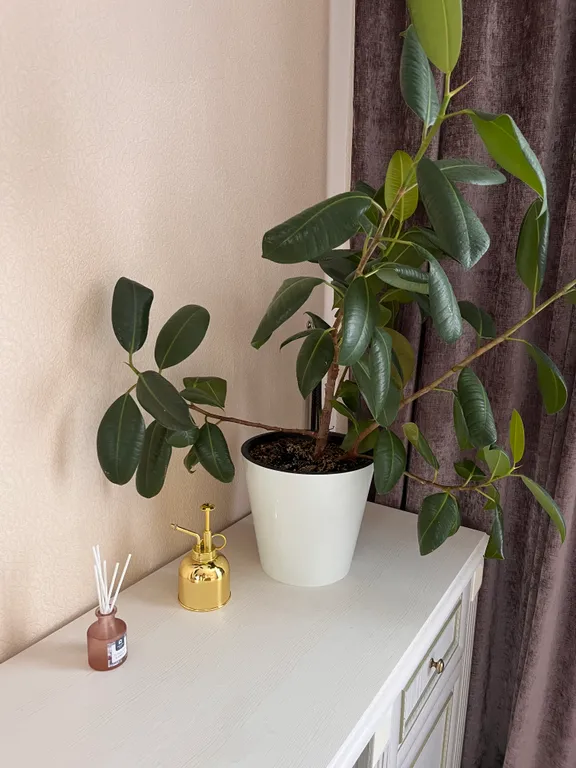 Уютная квартира на набережной с красивым видом из окна