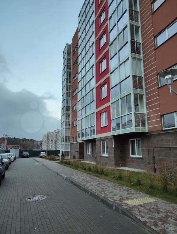 Квартира 1-комнатная Квартира — Светлогорск